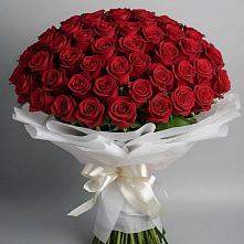 Букет 101 Красная роза Блэк Мэджик в Кокошкино