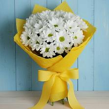 Букет цветов из:  Хризантемы в Кокошкино