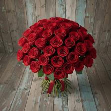 Букет 55 Красных роз Фридом #REPLACE_PRED# Кокошкино