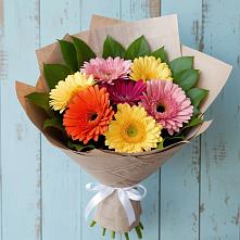 Букет цветов из:  Герберы #REPLACE_PRED# Кокошкино