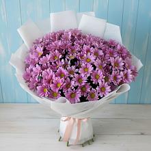 Букет цветов из:  Хризантемы в Кокошкино