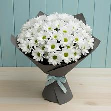 Букет цветов из:  Хризантемы #REPLACE_PRED# Кокошкино