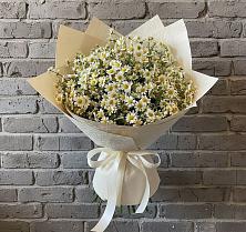 Букет цветов из:  Ромашки #REPLACE_PRED# Кокошкино