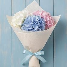 Букет цветов из:  Гортензия в Кокошкино