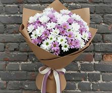 Букет цветов из:  Хризантемы в Кокошкино