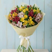 Букет цветов из:  Альстромерии в Кокошкино