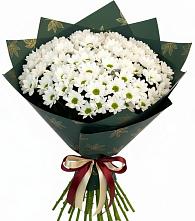 Букет цветов из:  Хризантемы #REPLACE_PRED# Кокошкино