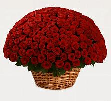 Премиум букет из: Розы в Кокошкино