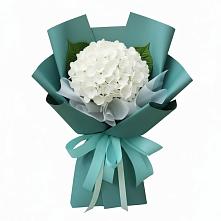 Букет цветов из:  Гортензия в Кокошкино